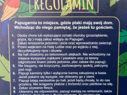 Papugi przyleciały do Opola