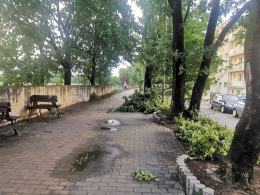 Ponad 150 interwencji straży. Służby ratunkowe usuwają skutki nawałnicy w Opolu