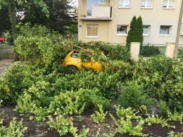 Ponad 150 interwencji straży. Służby ratunkowe usuwają skutki nawałnicy w Opolu