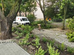 Ponad 150 interwencji straży. Służby ratunkowe usuwają skutki nawałnicy w Opolu