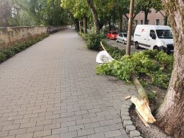 Ponad 150 interwencji straży. Służby ratunkowe usuwają skutki nawałnicy w Opolu
