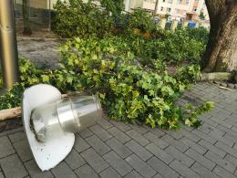 Ponad 150 interwencji straży. Służby ratunkowe usuwają skutki nawałnicy w Opolu