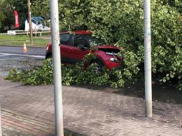 Ponad 150 interwencji straży. Służby ratunkowe usuwają skutki nawałnicy w Opolu