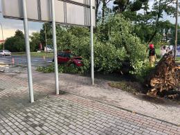 Ponad 150 interwencji straży. Służby ratunkowe usuwają skutki nawałnicy w Opolu