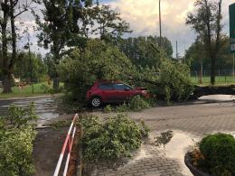 Ponad 150 interwencji straży. Służby ratunkowe usuwają skutki nawałnicy w Opolu