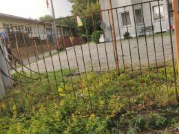 Ponad 150 interwencji straży. Służby ratunkowe usuwają skutki nawałnicy w Opolu