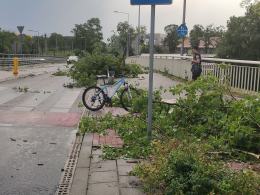 Ponad 150 interwencji straży. Służby ratunkowe usuwają skutki nawałnicy w Opolu