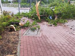 Ponad 150 interwencji straży. Służby ratunkowe usuwają skutki nawałnicy w Opolu