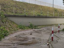 Ponad 150 interwencji straży. Służby ratunkowe usuwają skutki nawałnicy w Opolu