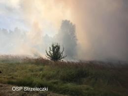 6 zastępów straży i dromader w akcji gaśniczej ścierniska w Smolarni