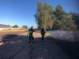 6 zastępów straży i dromader w akcji gaśniczej ścierniska w Smolarni