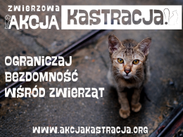 Ogranicz bezdomność zwierząt w swojej okolicy - Przyłącz się do ZWIERZowej Akcji Kastracja!