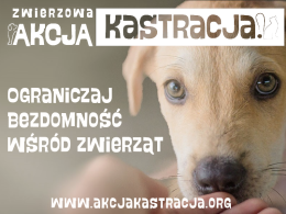 Ogranicz bezdomność zwierząt w swojej okolicy - Przyłącz się do ZWIERZowej Akcji Kastracja!