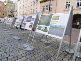 Pod opolskim Ratuszem stanęła plenerowa wystawa z okazji 30-lecia samorządu