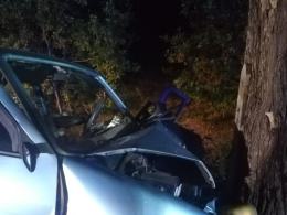 19-latka kierująca osobówką wjechała w drzewo. Jest w ciężkim stanie