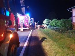 Auto uderzyło w sarnę i dachowało w rowie. Niebezpieczne zdarzenie w Byczynie