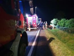 Auto uderzyło w sarnę i dachowało w rowie. Niebezpieczne zdarzenie w Byczynie