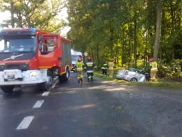 "Skasował" auto na drzewie - miał 3 promile