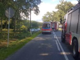 "Skasował" auto na drzewie - miał 3 promile