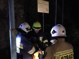 Strażacy interweniowali na amfiteatrze na Górze św. Anny. Uratowano psa