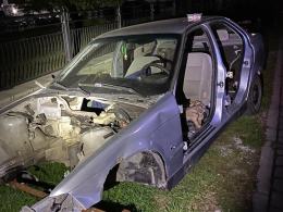 Suczka konała we wraku samochodu. Dobrzy ludzie znaleźli ją na czas..