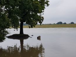 Stabilizuje się sytuacja hydrologiczna w Opolu. Przeszła fala wezbraniowa