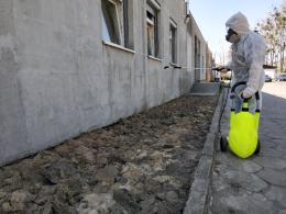Chroń się przed wirusem - zdezynfekuj mieszkanie i biuro