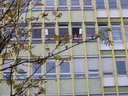 Świetna inicjatywa Fundacji Dr Clown pod szpitalem. Dawali uśmiech dla dzieci na odległość