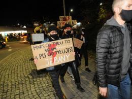 Tłumy protestujących w centrum Opola. "Solidarność nasza bronią"