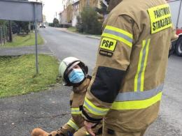 Pies zakleszczył się w ogrodzeniu. Na pomoc ruszyli strażacy