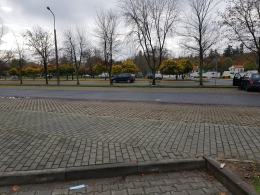 Cmentarze zamknięte. W dalszym ciągu można kupić kwiaty, pomóżmy kupcom