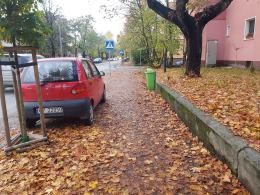 Sprzątanie liści to obowiązek. Za jego niedopełnienie czeka nas kara