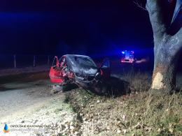 Kierowca stracił panowanie nad pojazdem i uderzył w drzewo. Niebezpiecznie na drogach