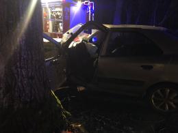 Kierowca omijał sarnę i uderzył w drzewo. Został zabrany do szpitala