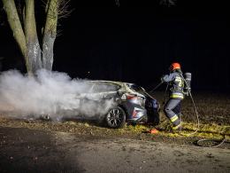 Ford uderzył w drzewo i stanął w płomieniach