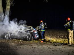Ford uderzył w drzewo i stanął w płomieniach