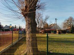 Pożar budynku w powiecie oleskim. Jedna osoba ranna