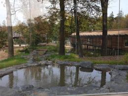 Wiosną do opolskiego zoo wprowadzą się lwy i tygrysy. Wybieg jest prawie gotowy