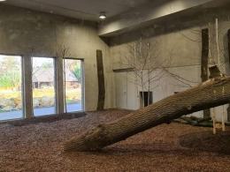 Wiosną do opolskiego zoo wprowadzą się lwy i tygrysy. Wybieg jest prawie gotowy
