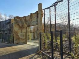Wiosną do opolskiego zoo wprowadzą się lwy i tygrysy. Wybieg jest prawie gotowy