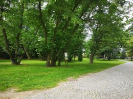 Zabytkowy park przy pałacu w Tułowicach zostanie zrewitalizowany
