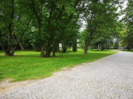 Zabytkowy park przy pałacu w Tułowicach zostanie zrewitalizowany