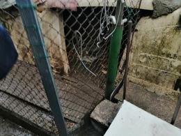 Tragiczne warunki zwierząt u gospodarza w Nysie. Martwe zwierzęta wyrzucał "za płot"