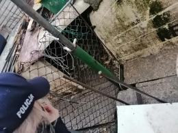 Tragiczne warunki zwierząt u gospodarza w Nysie. Martwe zwierzęta wyrzucał "za płot"