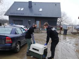Tragiczne warunki zwierząt u gospodarza w Nysie. Martwe zwierzęta wyrzucał "za płot"