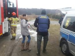 Psy nie umiały wrócić w bezpieczne miejsce. Pomogli strażacy