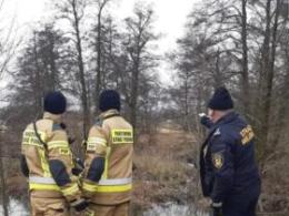 Psy nie umiały wrócić w bezpieczne miejsce. Pomogli strażacy