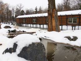 W opolskim zoo szkolą się opiekunowie lwów i tygrysów