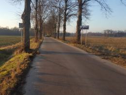 Kierowca uderzył w drzewo. Był pijany