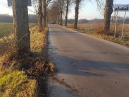 Kierowca uderzył w drzewo. Był pijany